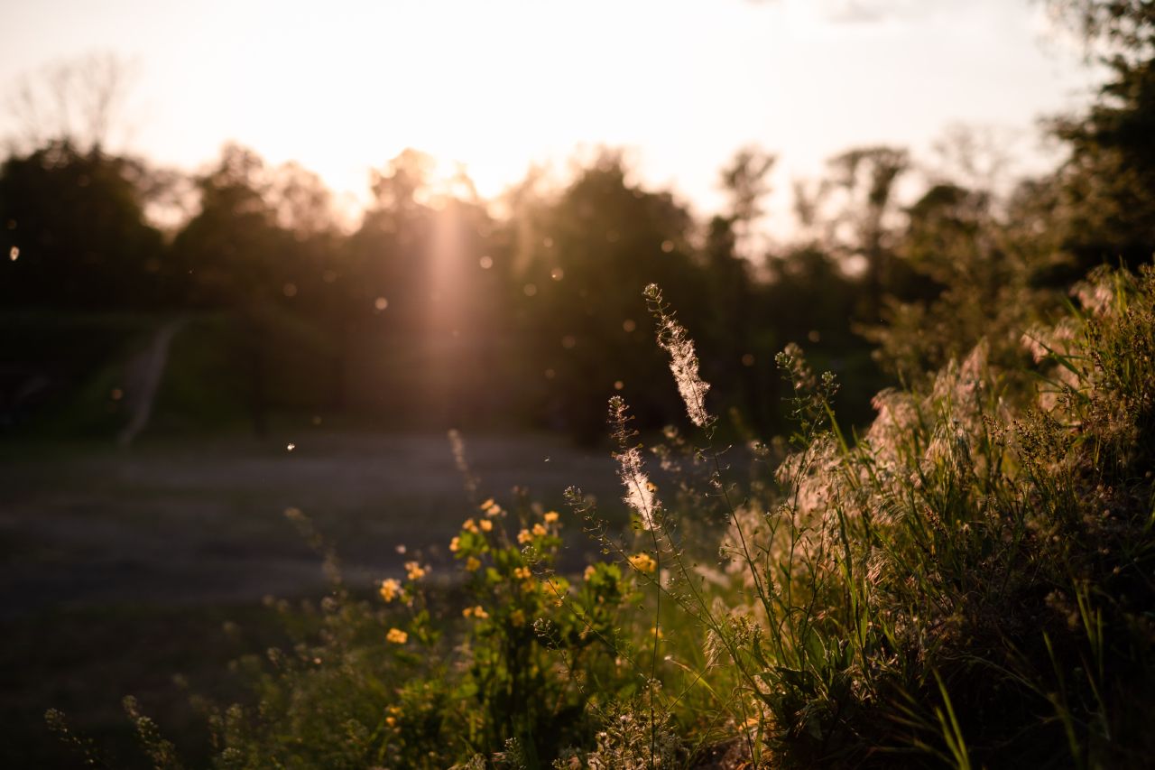 Les allergies saisonnières causent-elles de la sécheresse oculaire?